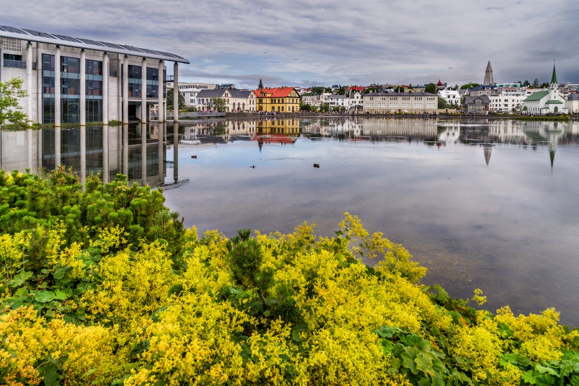 free tours reykjavik