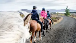 Horseriding in Reykjavík