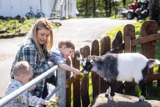 Laugardalur Family Park and Zoo in Reykjavík