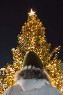 Christmast tree in Reykjavík