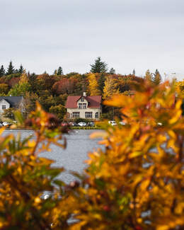 Autumn in Reykjavík