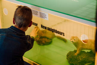 Natural history Museum of Kópavogur