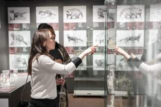 phallological_museum-Socialmedia-7361.png