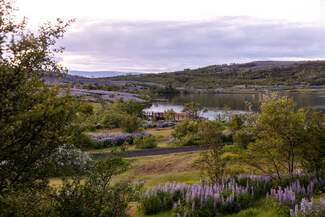 Vífilsstaðavatn