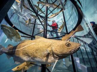 Maritime Museum