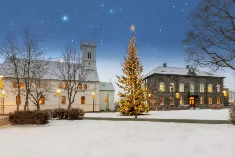 Oslo Christmas tree at Austurvöllur