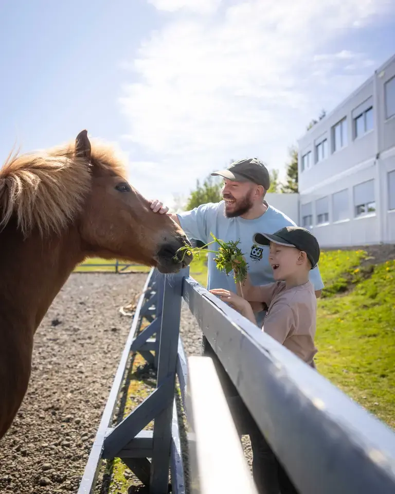 How to Spend One Perfect Day in Reykjavík | Visit Reykjavík