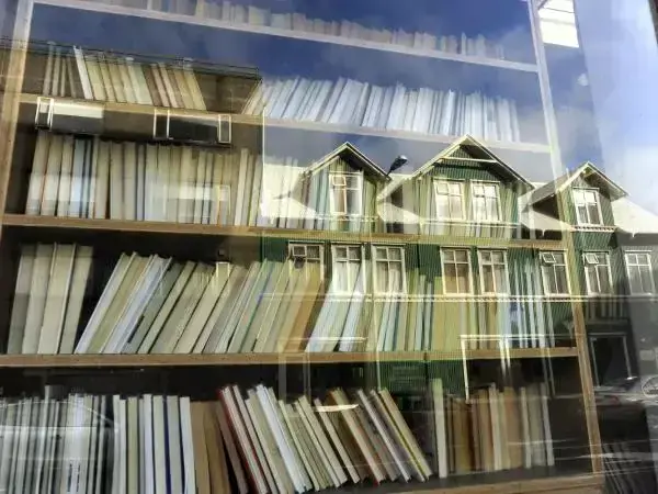Books in a shelf