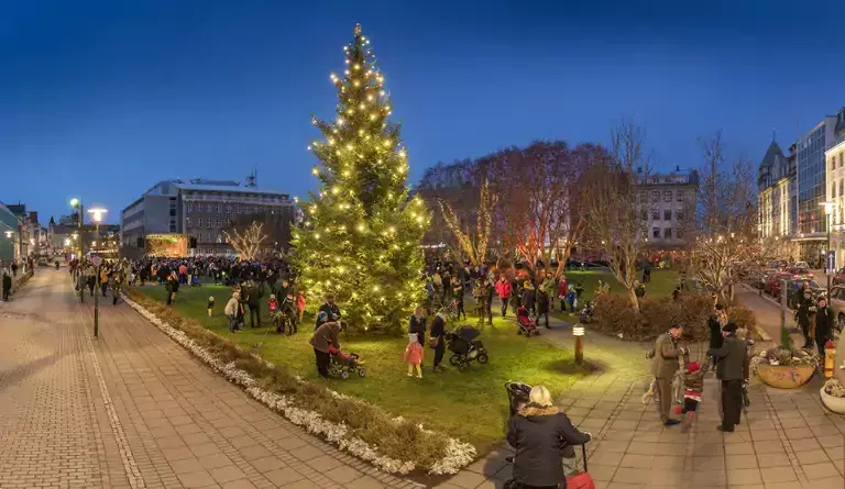 The Oslo Christmas tree