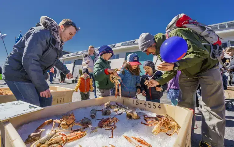 People looking at lobsters