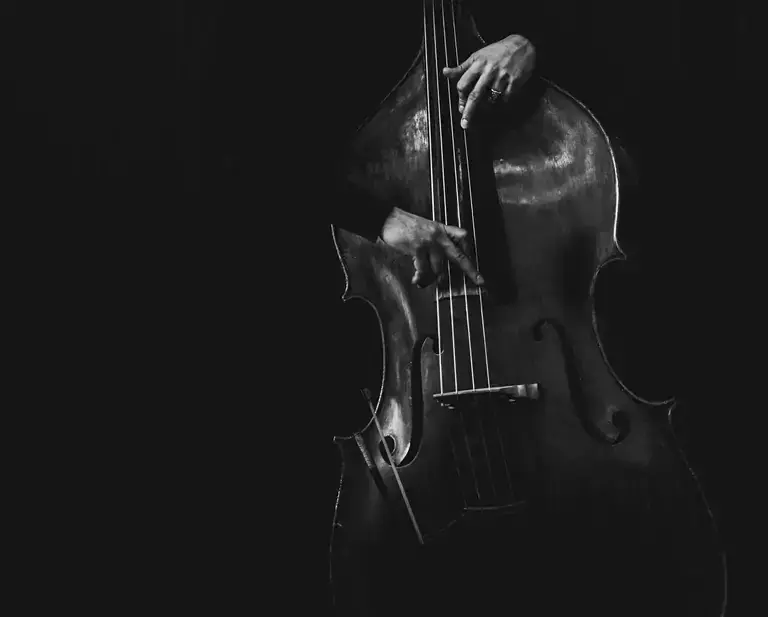 Man playing contrabass