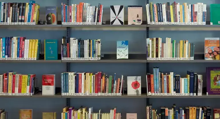 Books in a shelf