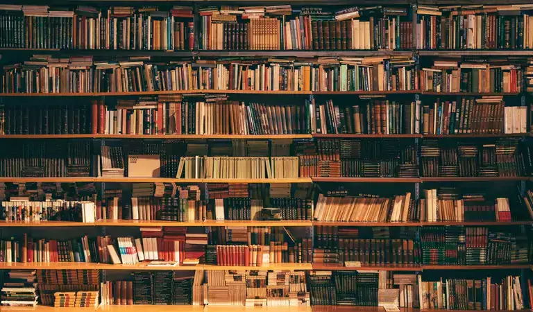 Books in a shelf