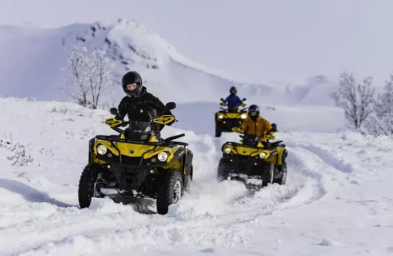 Safari Quads during winter