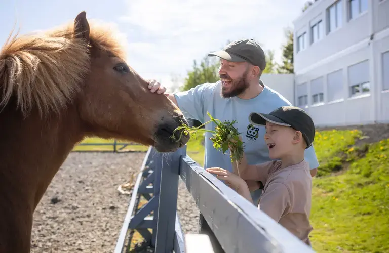 Be inspired for your visit to Reykjavík | Visit Reykjavík