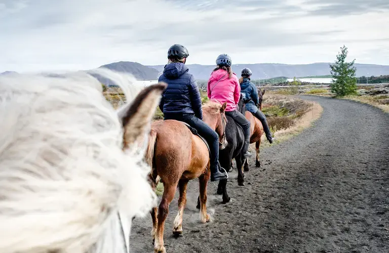 Horseriding in Reykjavík