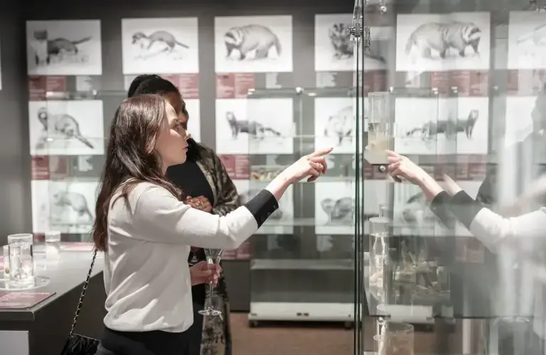 phallological_museum-Socialmedia-7361.png