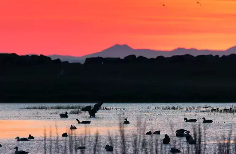 Bakkatjörn pond during sunset