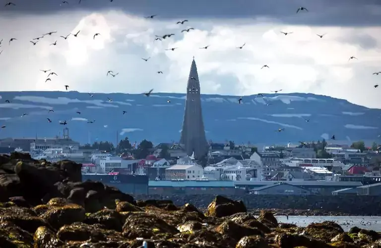 Overview of Reykjavík 